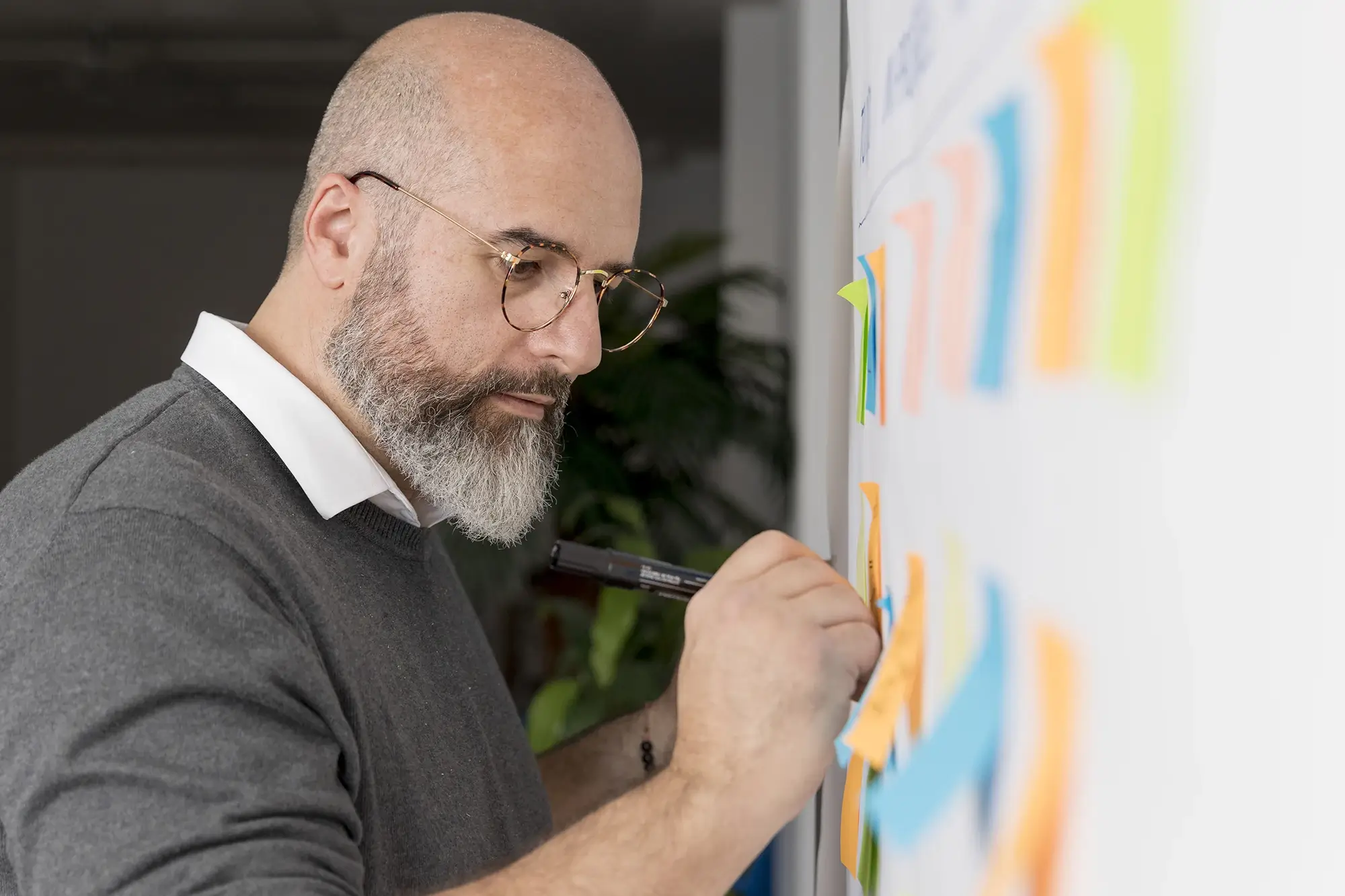 Professor planejando a roda da vida.